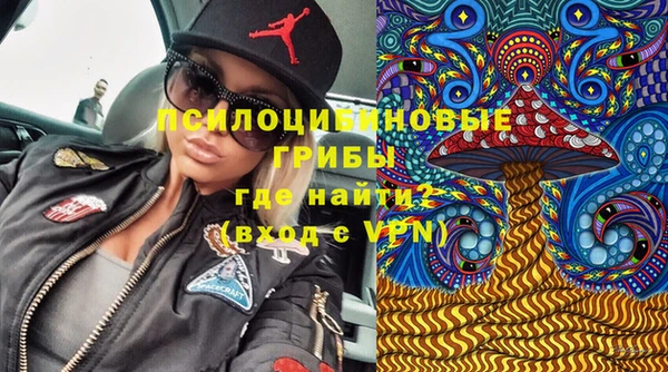 прущая мука Корсаков