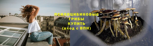 прущая мука Корсаков