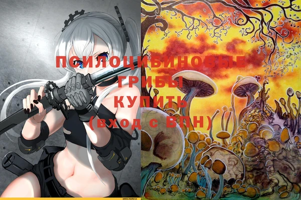 марки lsd Коряжма