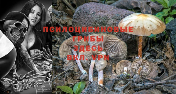 прущая мука Корсаков